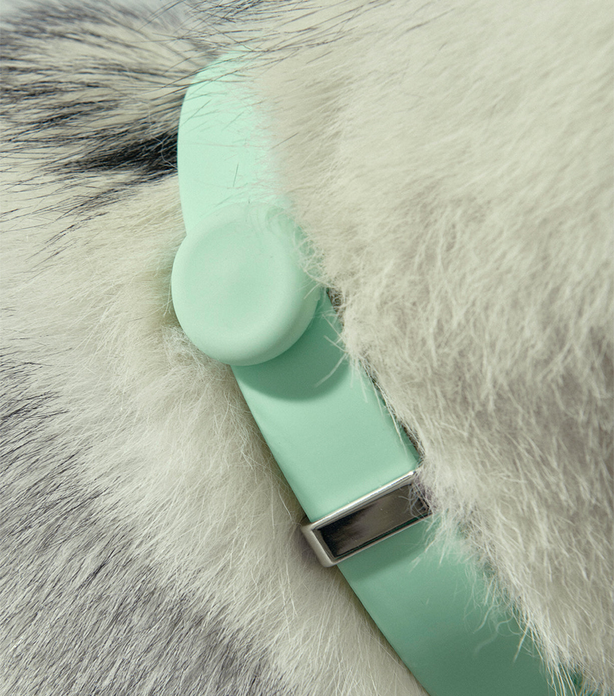 Universal Pet Safety Light - High Visibility LED Collar for Dogs & Cats - Perfect for Night Walks & Outdoor Adventures