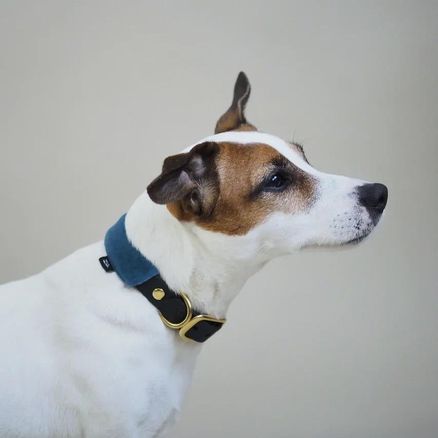 Premium Biothane Dog Collar with Pony Mascarpony Design - Durable, Waterproof & Adjustable Pet Collar for Small, Medium & Large Dogs - Perfect for Walking, Training & Outdoor Adventures