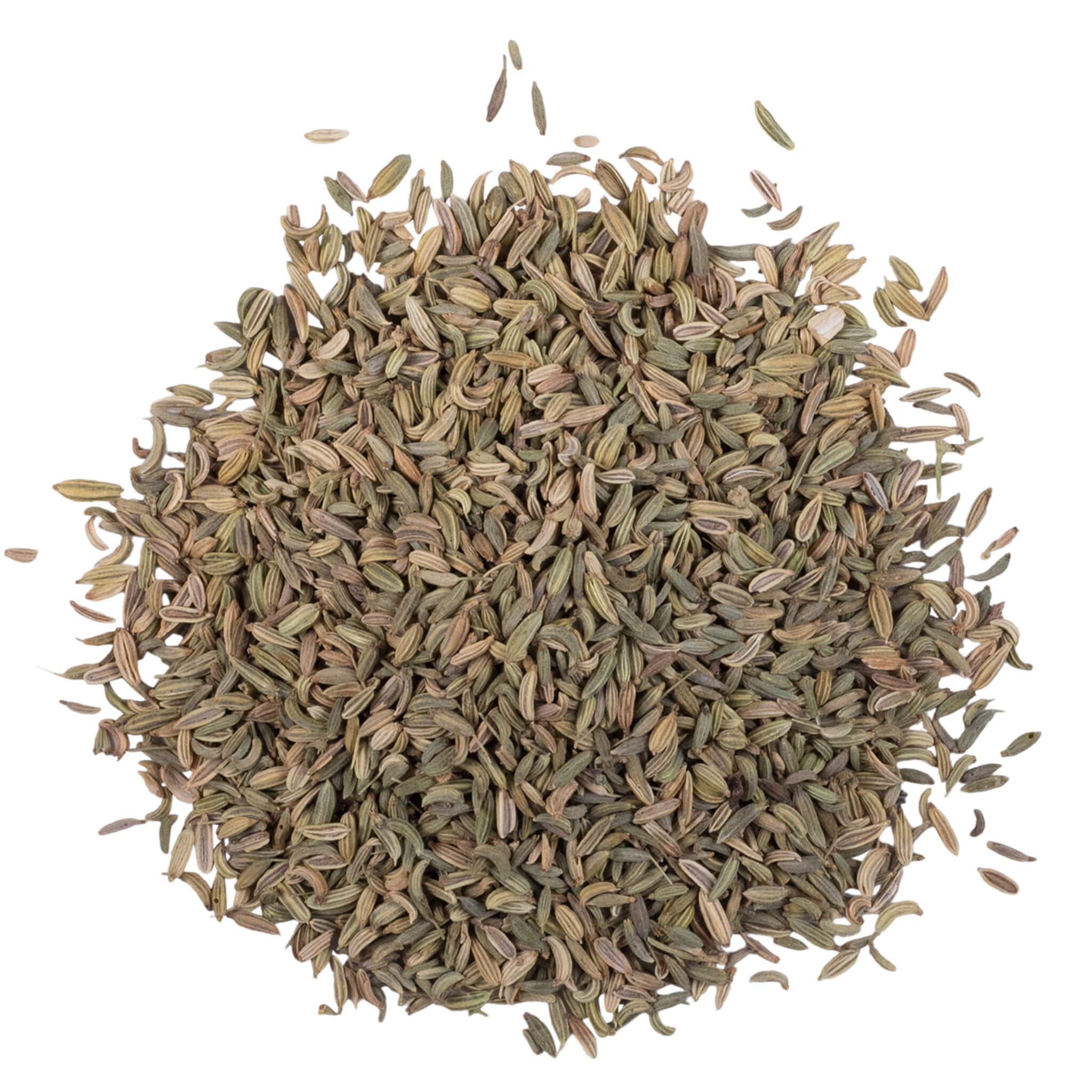 Organic Fennel Seeds for Cooking & Tea - Premium Quality, Aromatic & Flavorful - Perfect for Indian, Mediterranean & Middle Eastern Cuisine, Digestive Tea & Natural Remedies