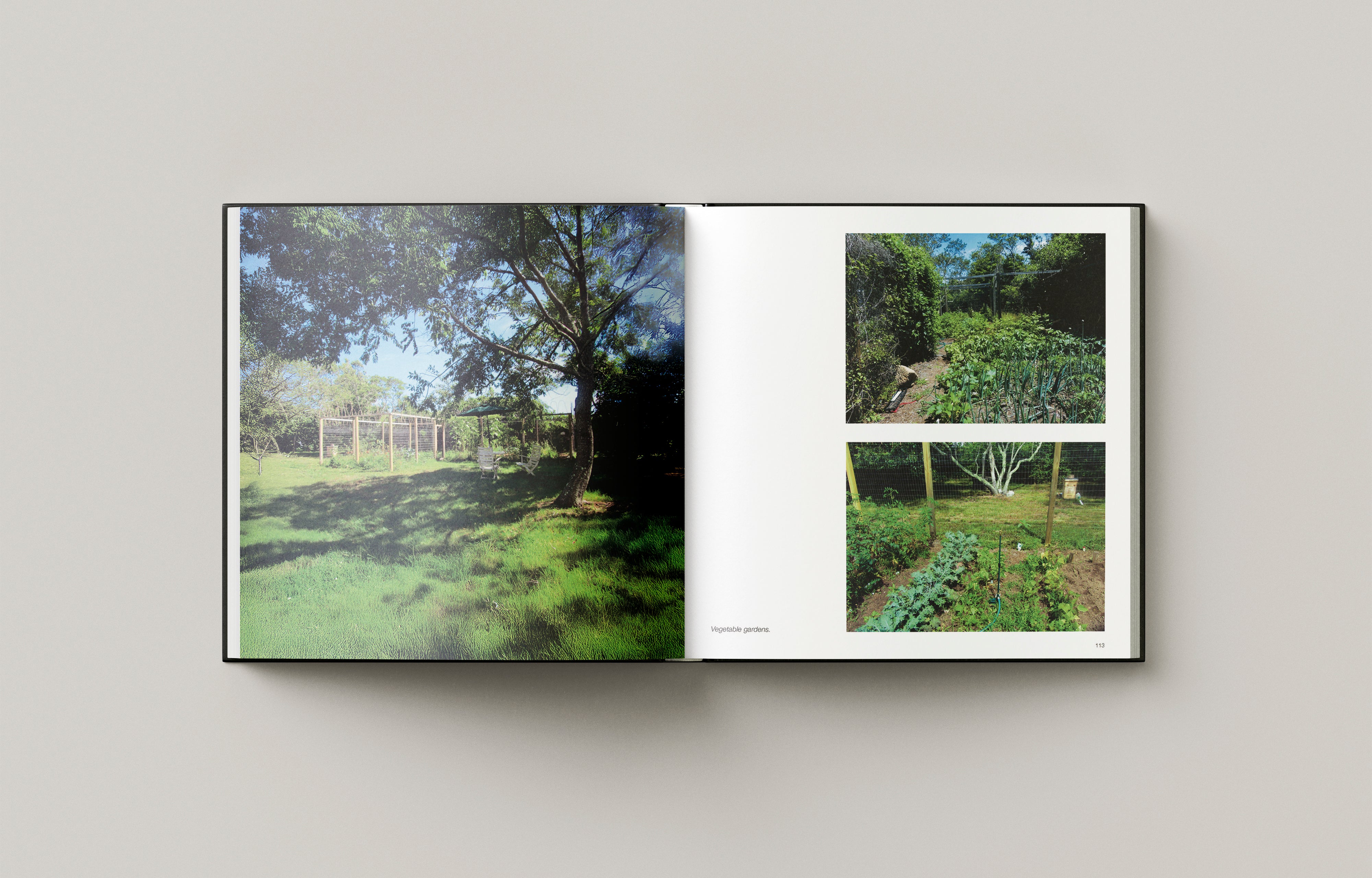 Jan Wampler: Reflections on an Architect's Journey - Memoirs at 85 | Inspiring Stories for Architecture Students & Professionals