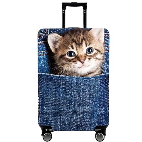 Cat B