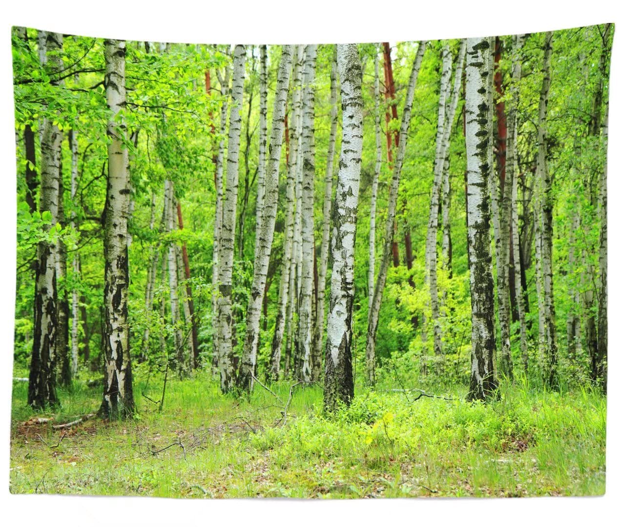 BELECO Jungle Forest Tapestry - Green Woodland Trees Scenic Wall Hanging Art Decor for Bedroom, Living Room & Dorm - Natural Landscape Tapestry for Boho, Nature Lovers & Meditation Spaces