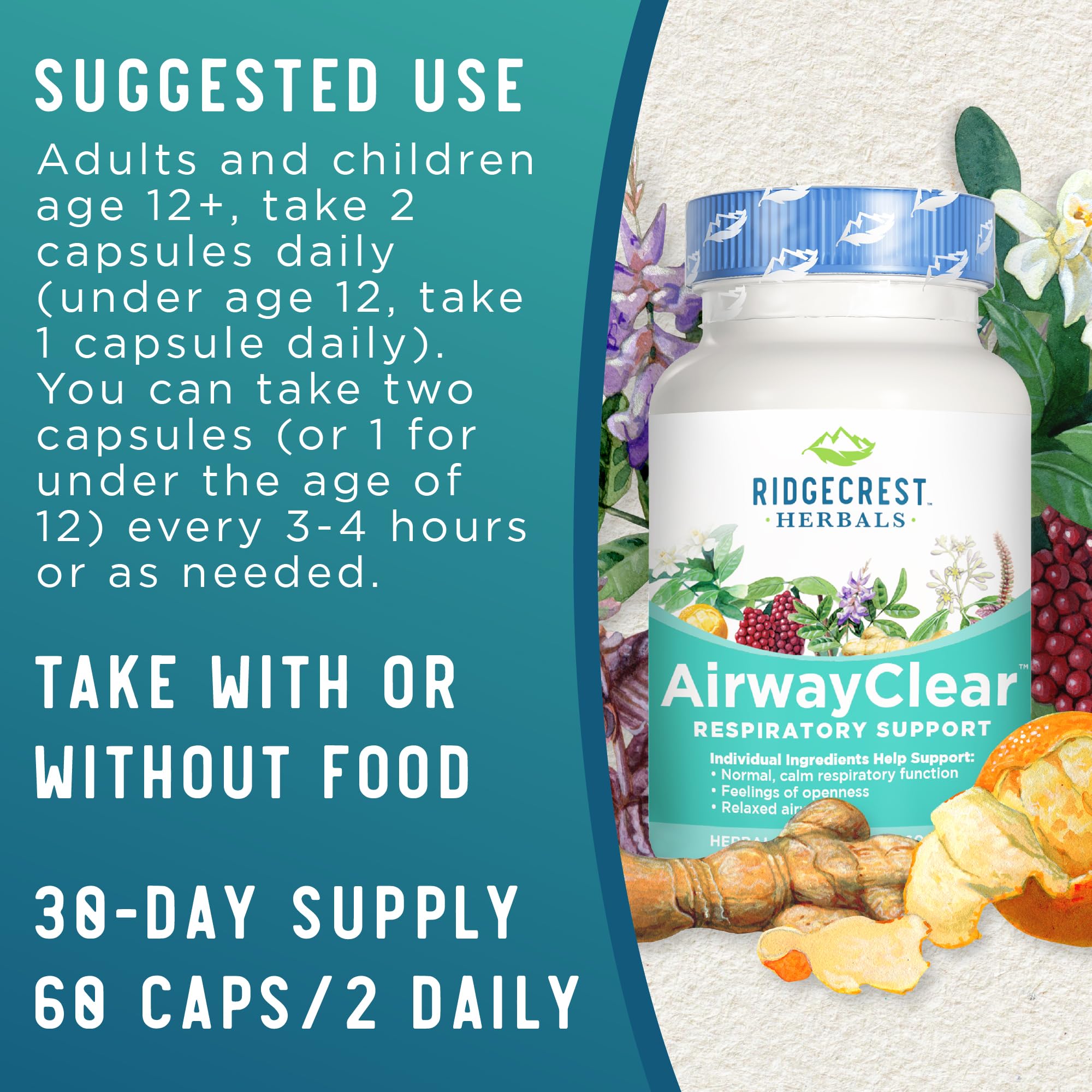 Ridgecrest Herbals AirwayClear - Natural Lung Health & Breathing Support Supplement with Schisandra Fruit, Cassia Bark & Ginger Root - Sinus & Mucus Relief - Gluten Free Vegan Capsules (60 Count, 30 Servings) - Ideal for Respiratory Support, Allergy Season & Cold Weather Wellness