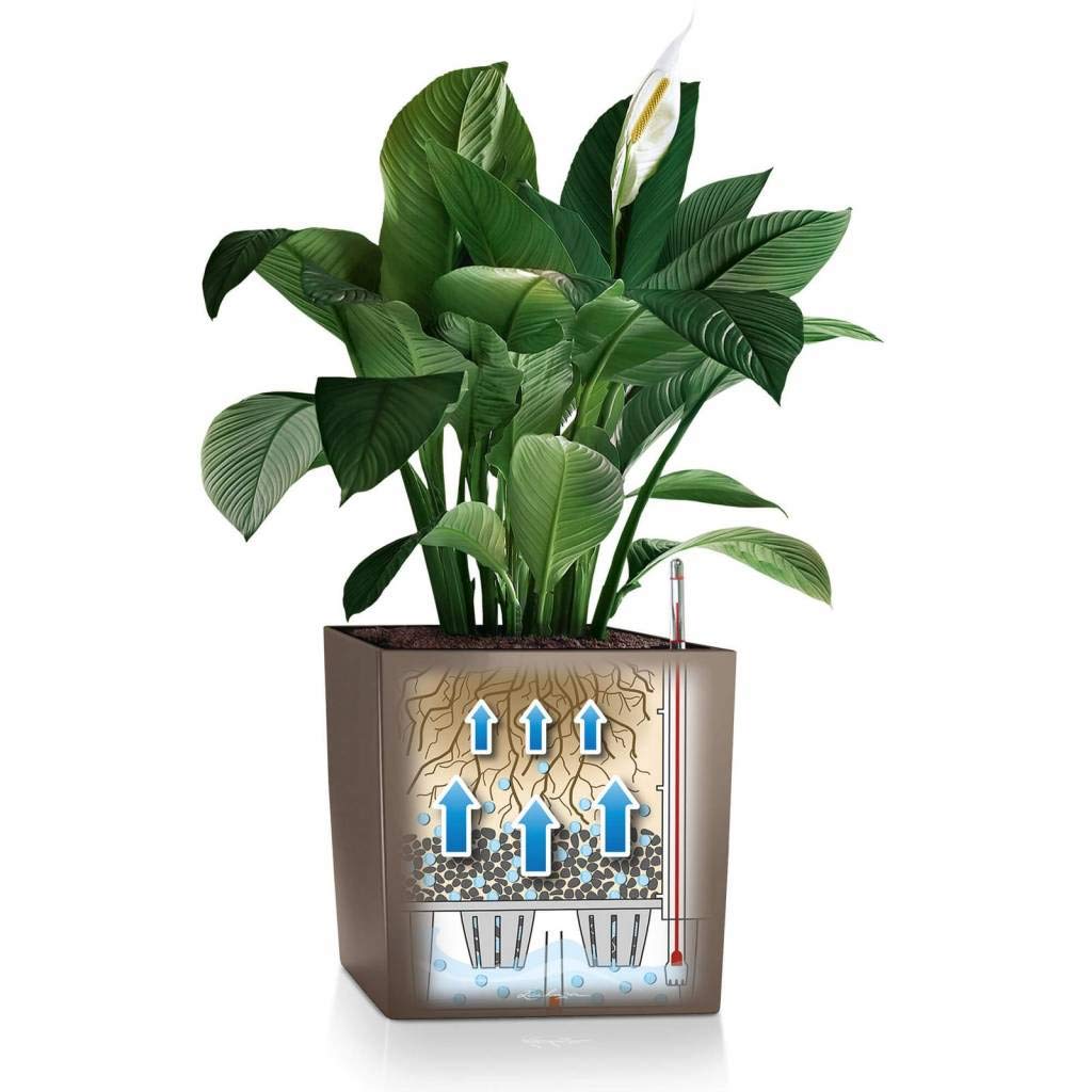 Lechuza Premium Self-Watering Plant Pot - 30 x 30 x 30 cm Metallic Silver Bucket Planter for Indoor Plants | Perfect for Home, Office & Garden Decor