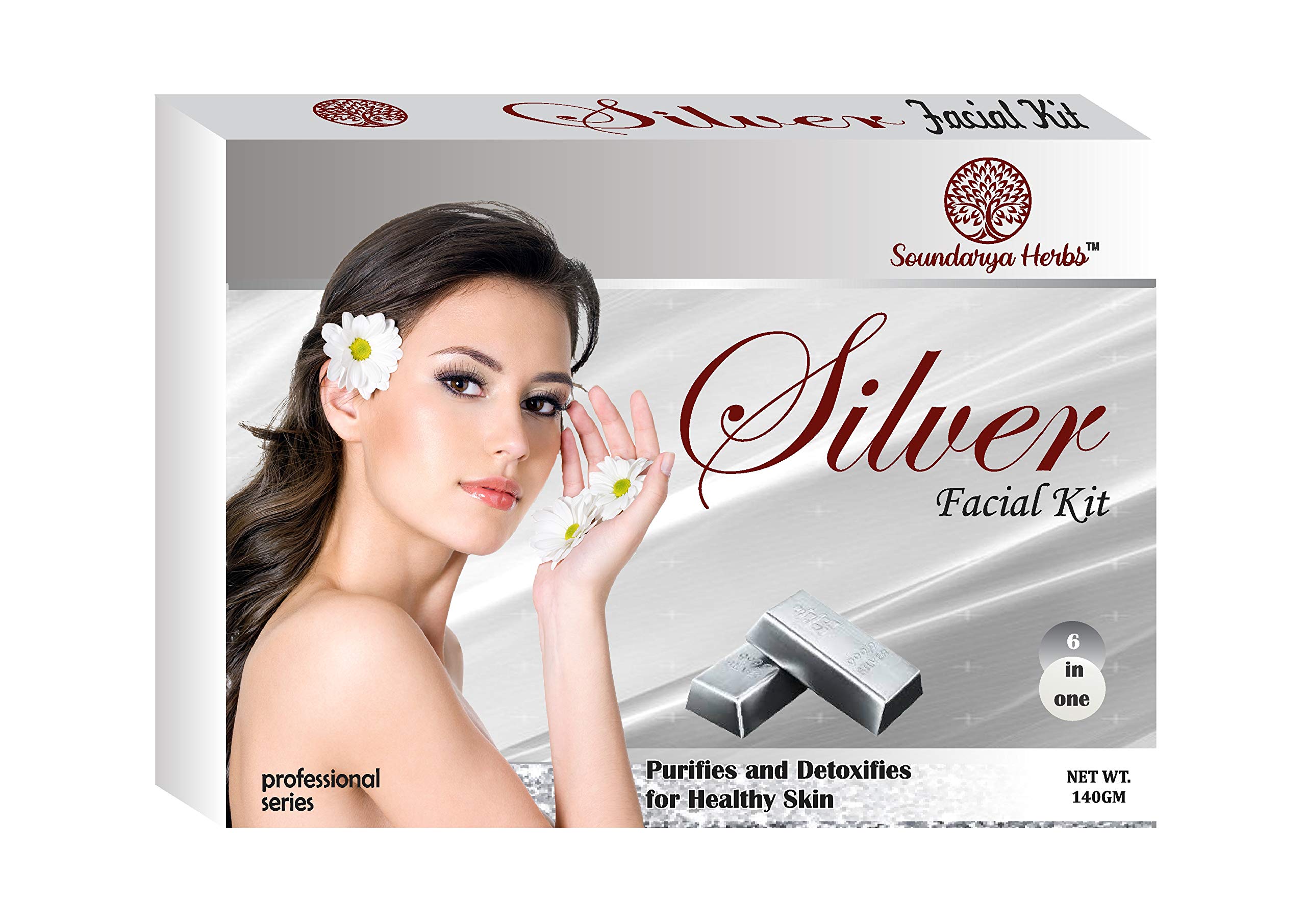 Soundarya Herbs Silver Facial Kit - Purifying & Detoxifying Skincare Set for Healthy Glowing Skin | Daily Face Care Routine for Women & Men