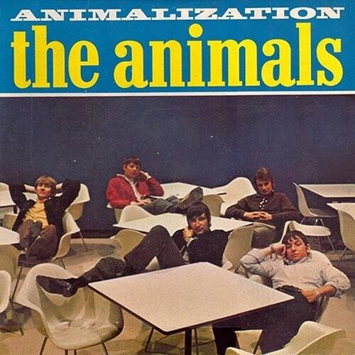 Animalization Vinyl LP - Classic Rock Album for Collectors & Music Lovers | Perfect for Home Listening & Vinyl Enthusiasts