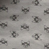 Kitten Grey