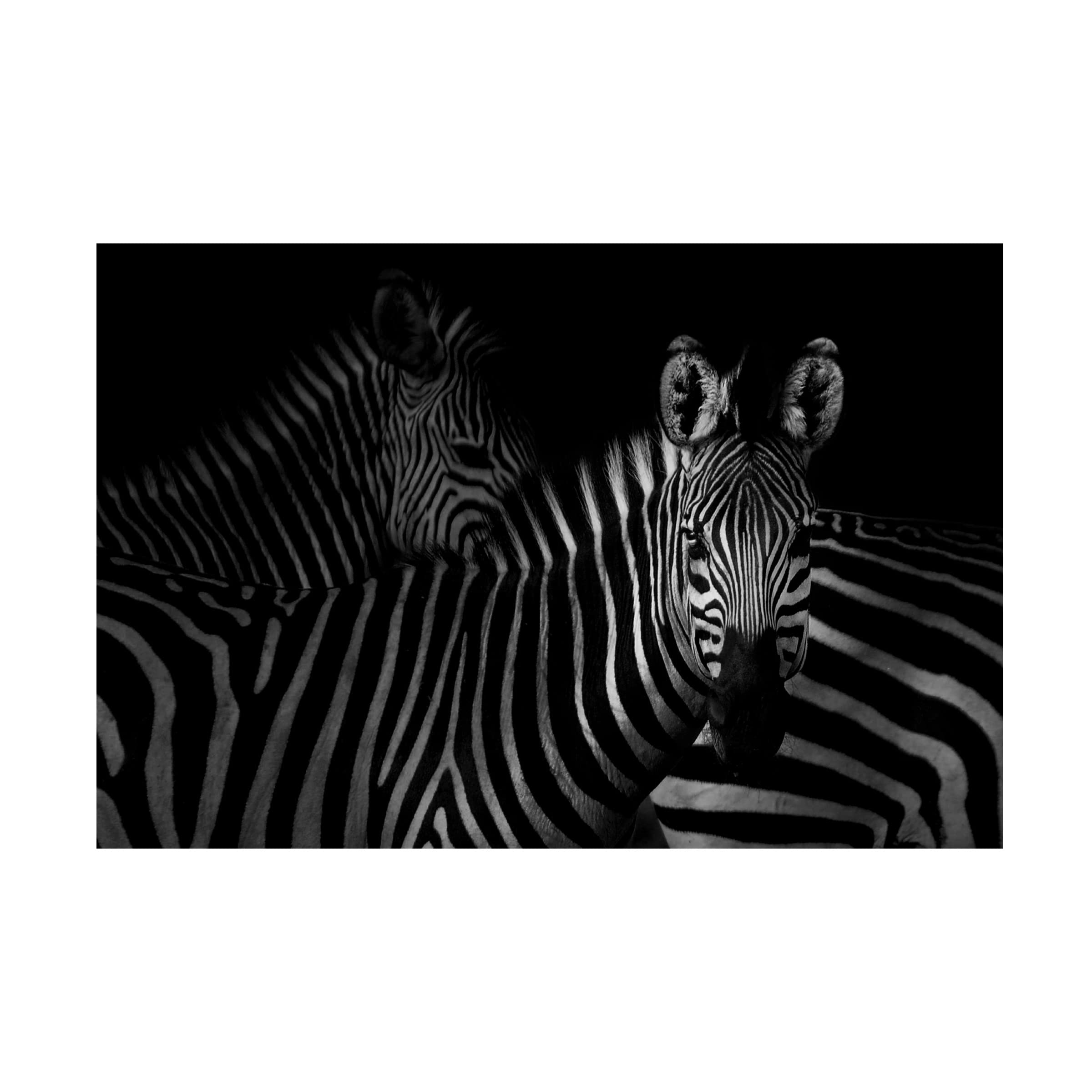 Trademark Fine Art 'Stripped Stare' Canvas Wall Art by Antonio Grambone - Modern Abstract Painting for Living Room, Bedroom & Office Decor
