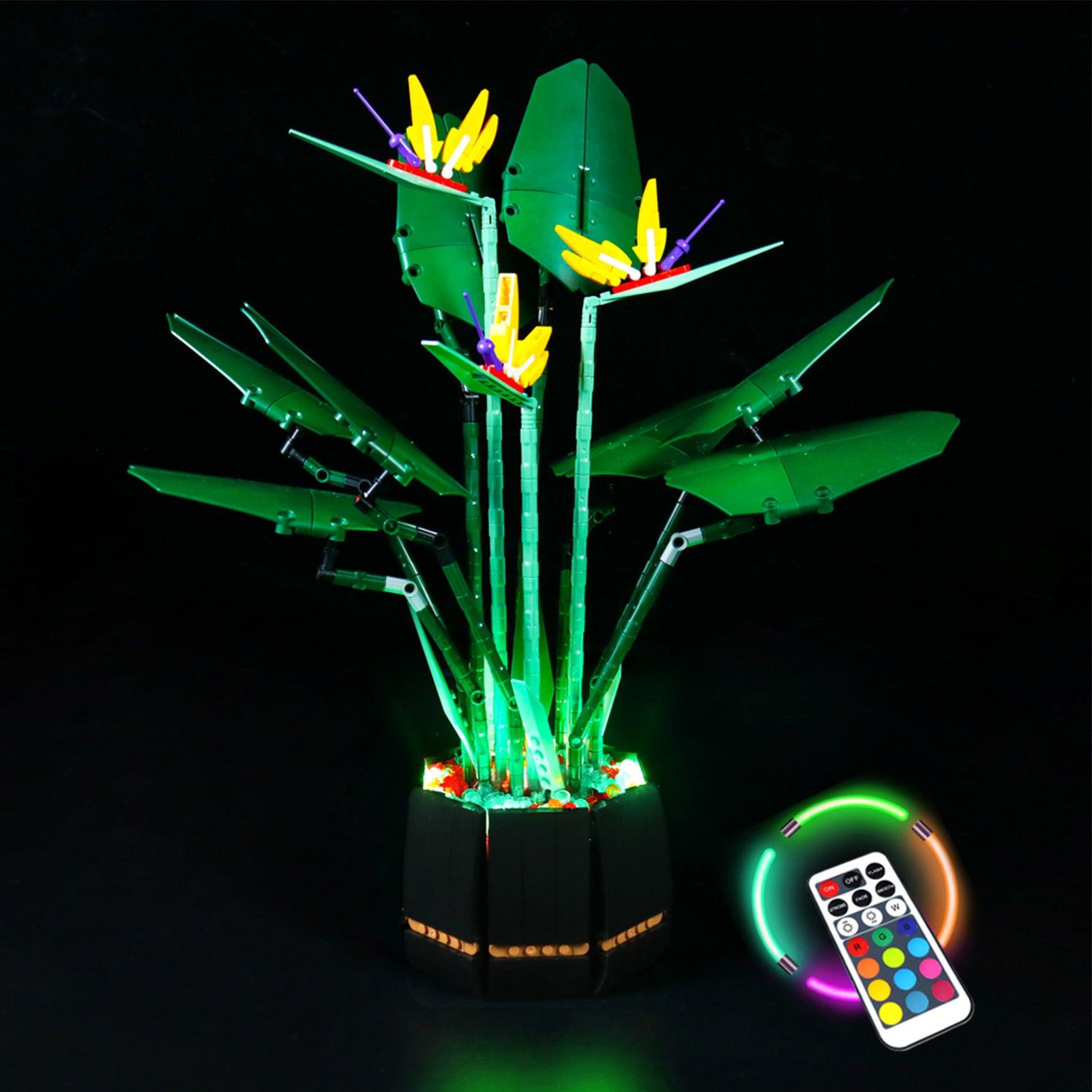 Lego Botanical Bird of Paradise 10289 Light Kit - DIY Lighting Set for Lego Flowers - Perfect for Home Decor, Gift Ideas & Display Enhancement