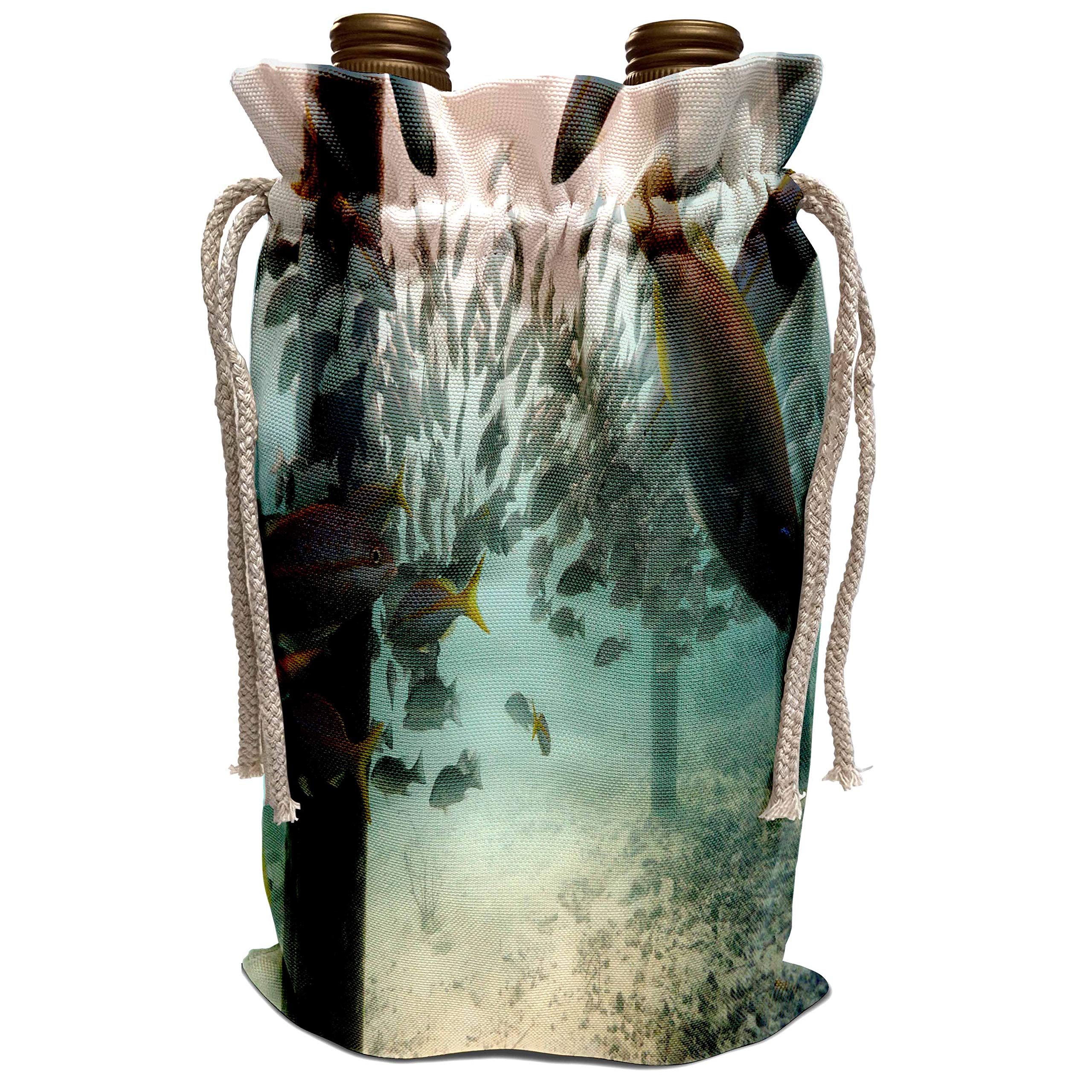 3dRose BrooklynMeMe Fish - Tropical Fish School Wine Bag | Reusable Insulated Tote for Wine Bottles, Perfect for Beach, Picnics & Parties