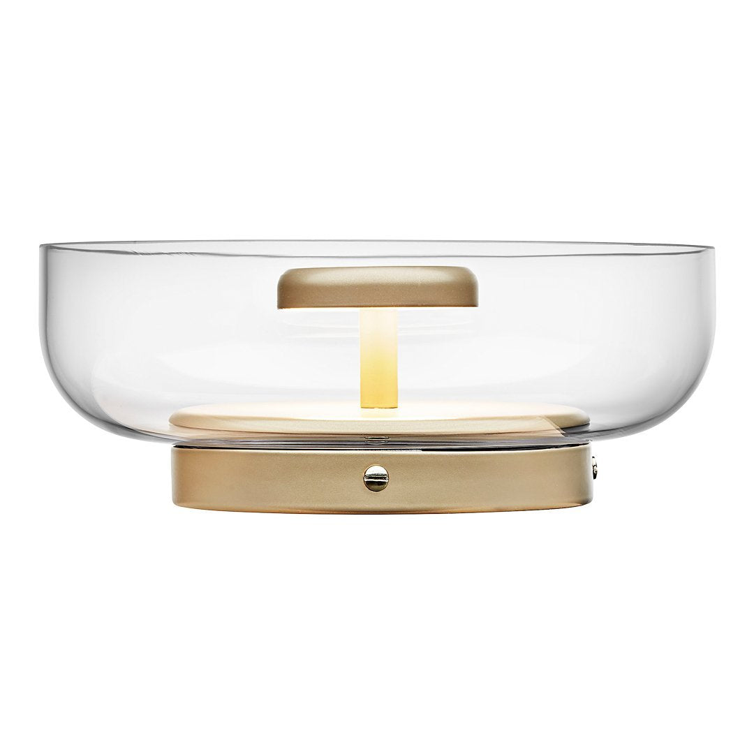 Blossi Modern Wall Sconce Light - Elegant LED Wall Lamp for Bedroom, Living Room, and Hallway - Perfect for Ambient Lighting and Home Decor