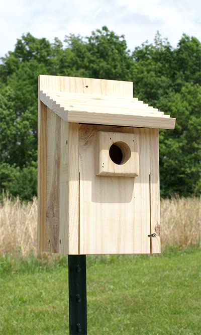 Stokes Bluebird House (3 Pack) - Premium Wooden Birdhouse for Outdoor Garden, Backyard, and Patio - Attracts Bluebirds & Enhances Your Garden Decor