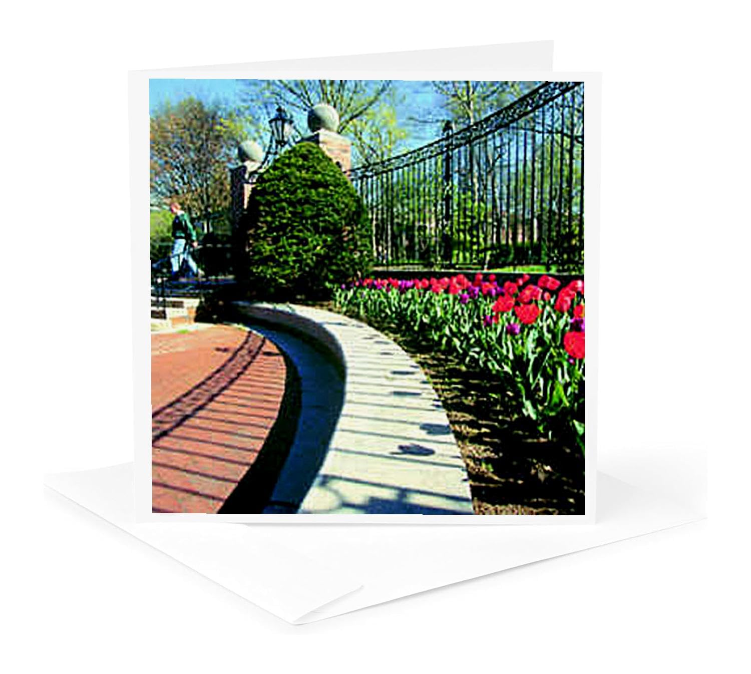 Beautiful Tulip Greeting Card for Ohio University Alumni - Perfect for Graduation, Birthdays & Special Occasions