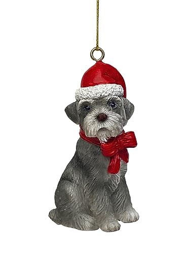 Schnauzer