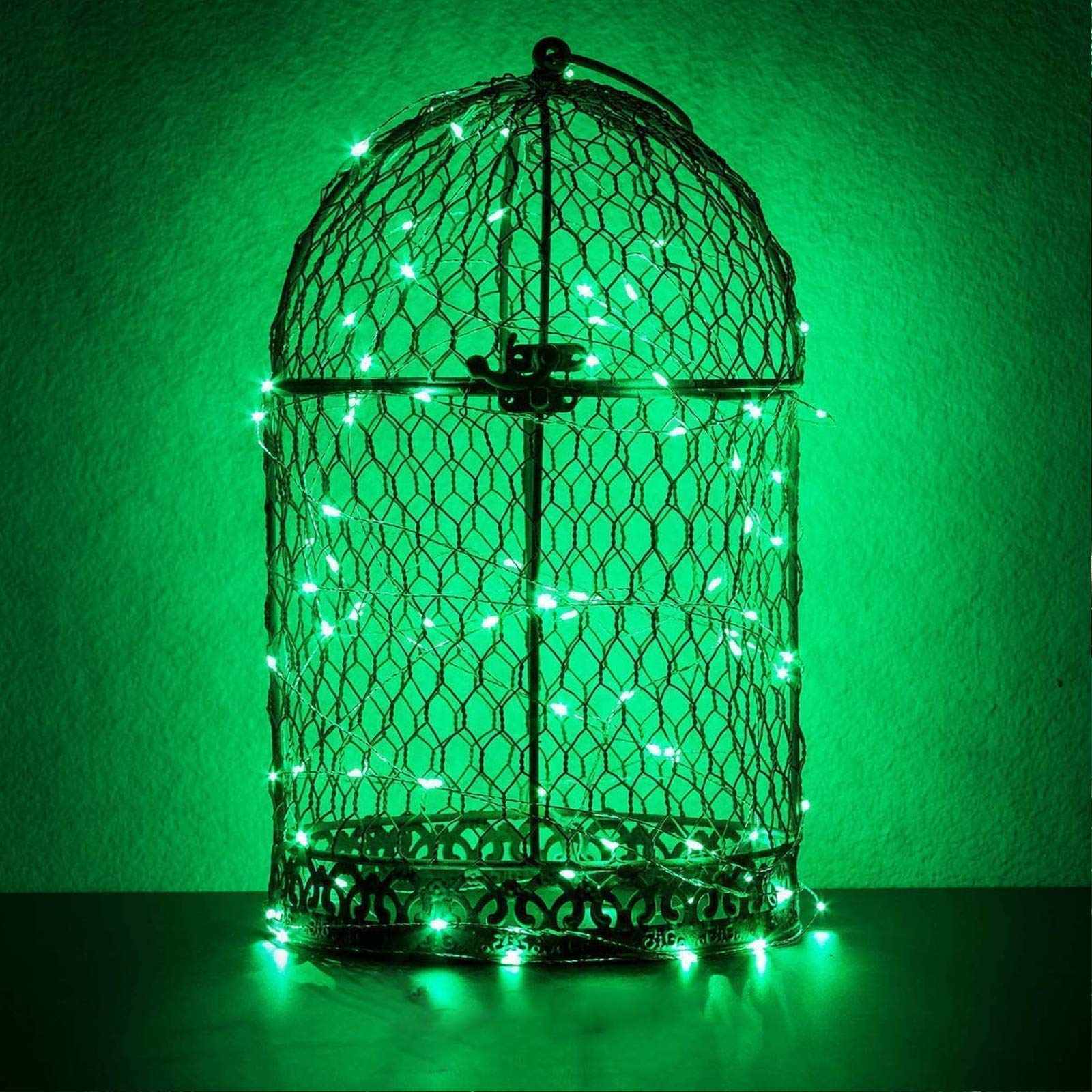 RUICHEN 33 Ft 100 LED Silver Wire Fairy Lights with Spool - Plug in Indoor/Outdoor String Lights for Bedroom, Wedding, Party & Garden Decor