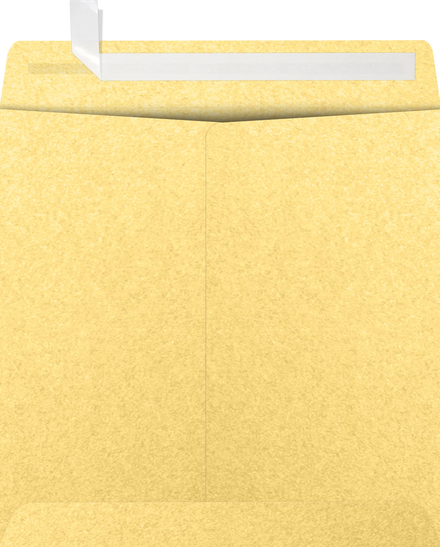 9x9 Inch Gold Metallic Square Envelopes - 250 Pack for Wedding Invitations, Greeting Cards & Party Decorations