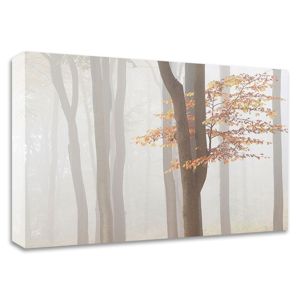 Arnhem Park Zypendaal Canvas Art Print by Wilco Dragt - Framed Ready to Hang Wall Decor for Living Room, Bedroom & Office