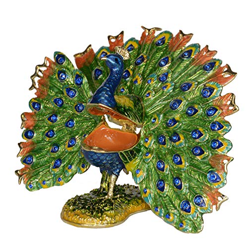 Peacock Spreads Its Tail