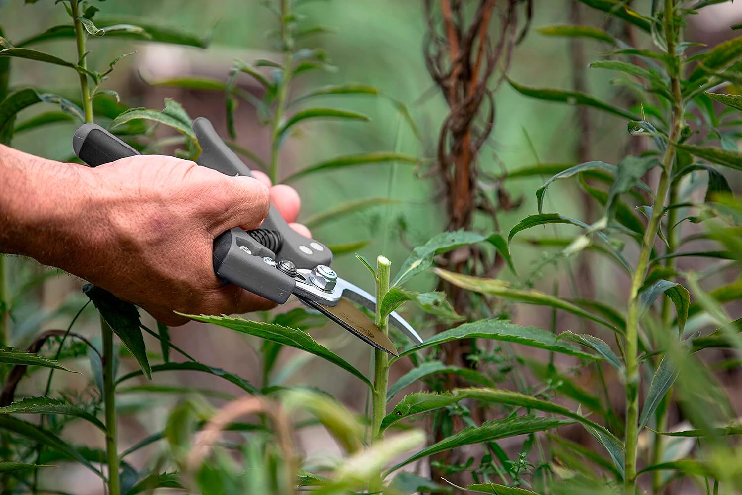 EZ Kut Kamikaze Force Bypass Pruning Shears - Heavy Duty Garden Pruners for Men & Women | Professional Gardening Hand Tools Since 1988 | Perfect for Trimming, Pruning & Landscaping