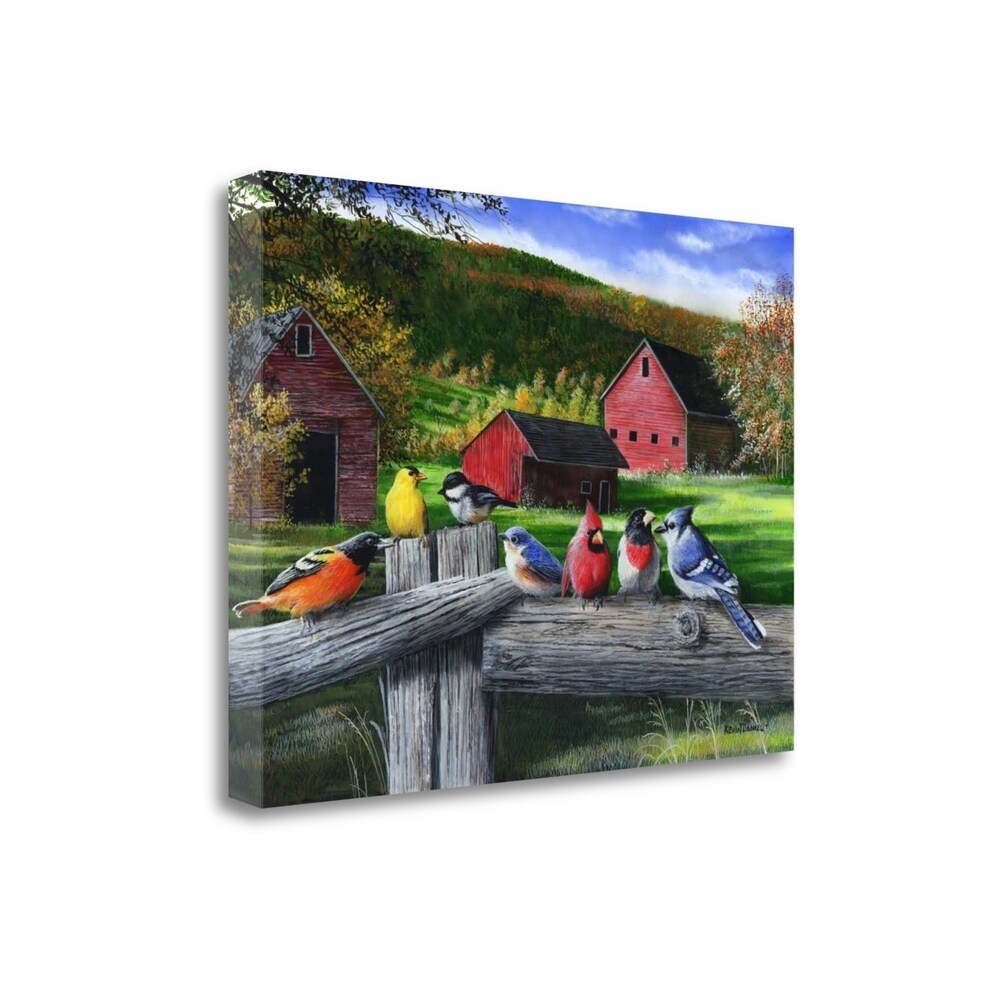 Birds At The Barn By Kevin Daniel - Premium Fine Art Giclee Print on Gallery Wrap Canvas, Ready to Hang Wall Decor - Perfect for Living Room, Bedroom & Office Artwork