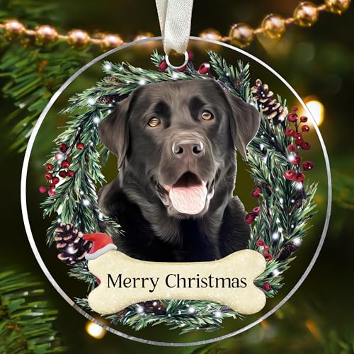 Dog Black Lab