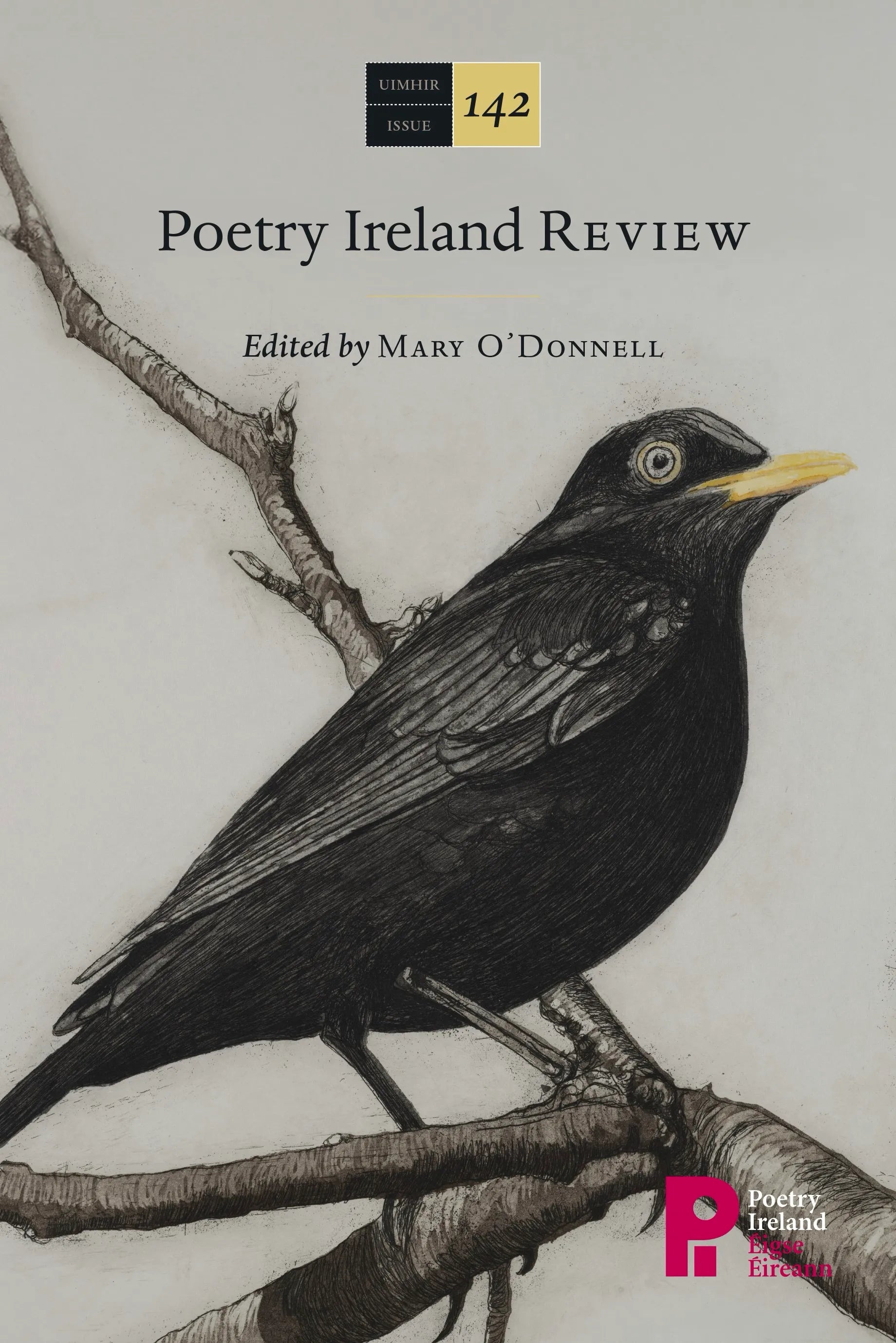 Poetry Ireland Review Issue 142 - Contemporary Irish Poetry Collection | Perfect for Literature Lovers & Book Clubs