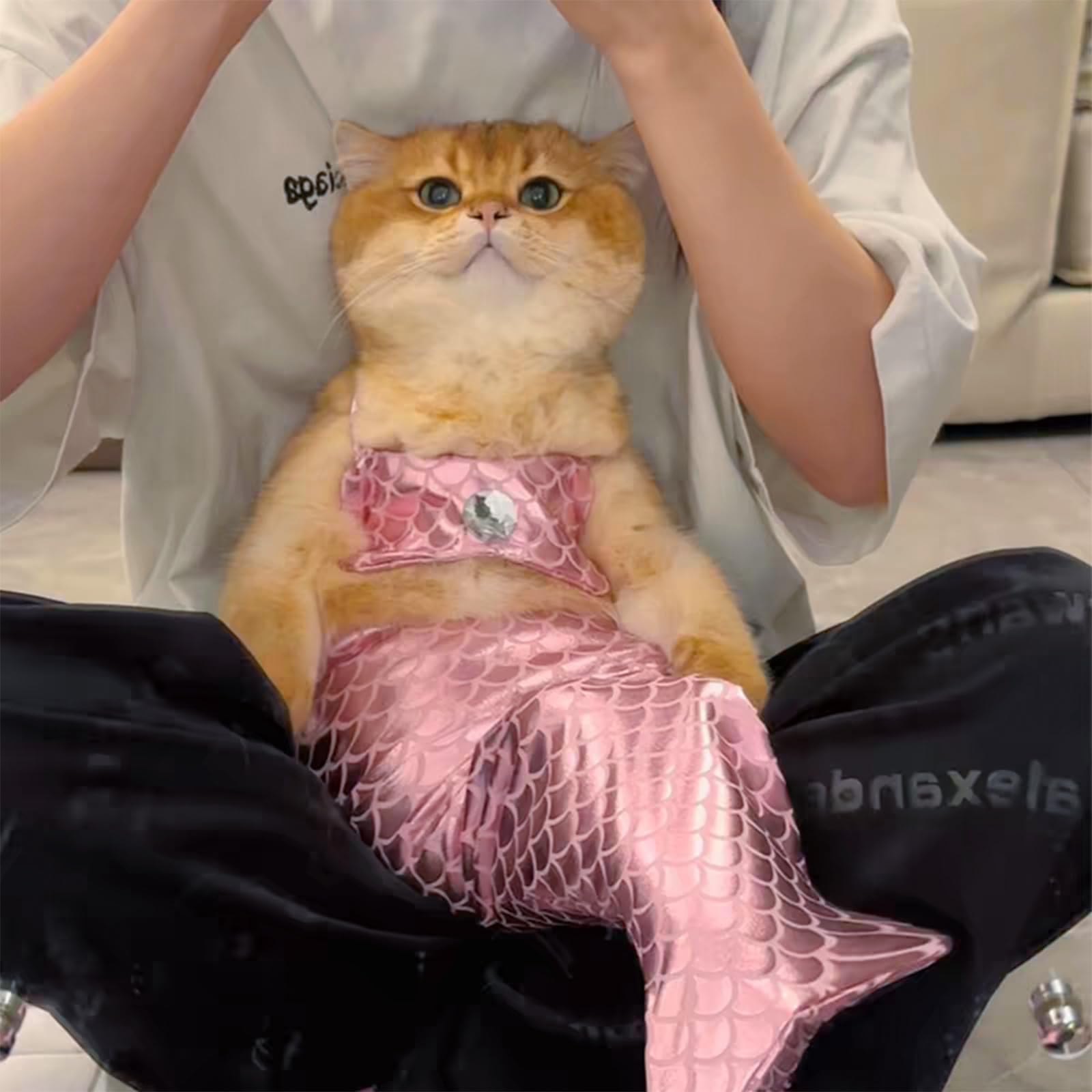 Funny Pink Mermaid Cat Costume - Adorable Mermaid Outfit for Small Dogs & Cats - Perfect for Pet Parties, Halloween & Photo Shoots