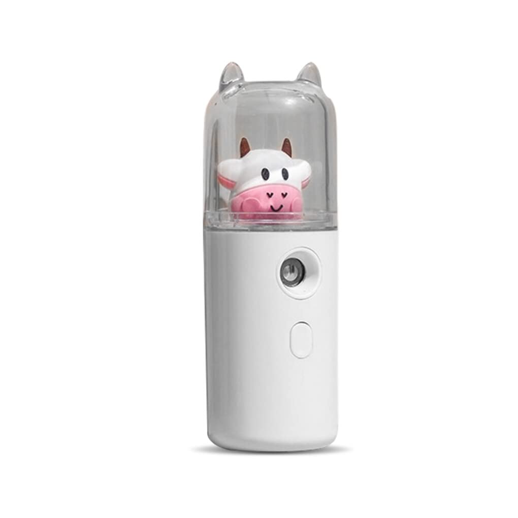 Allayu 30ml USB Rechargeable Portable Humidifier - Face Steamer & Skin Care Mist Sprayer for Hiking, Travel, Home & Office Use - White Beauty Instrument (Type 1)