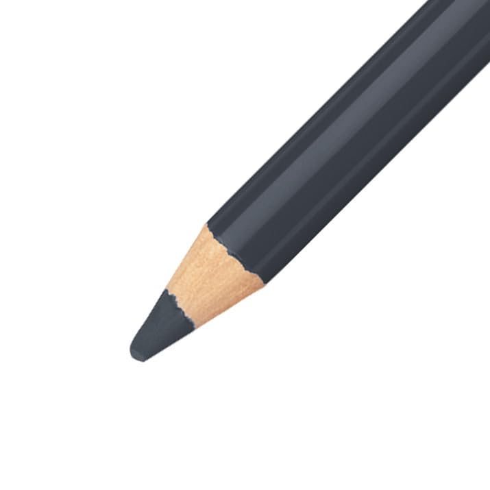 STABILO CarbOthello Pastel Chalk Pencils - 12 Count Neutral Black Set | Premium Art Supplies for Sketching, Drawing & Shading | Perfect for Artists, Students & Professionals