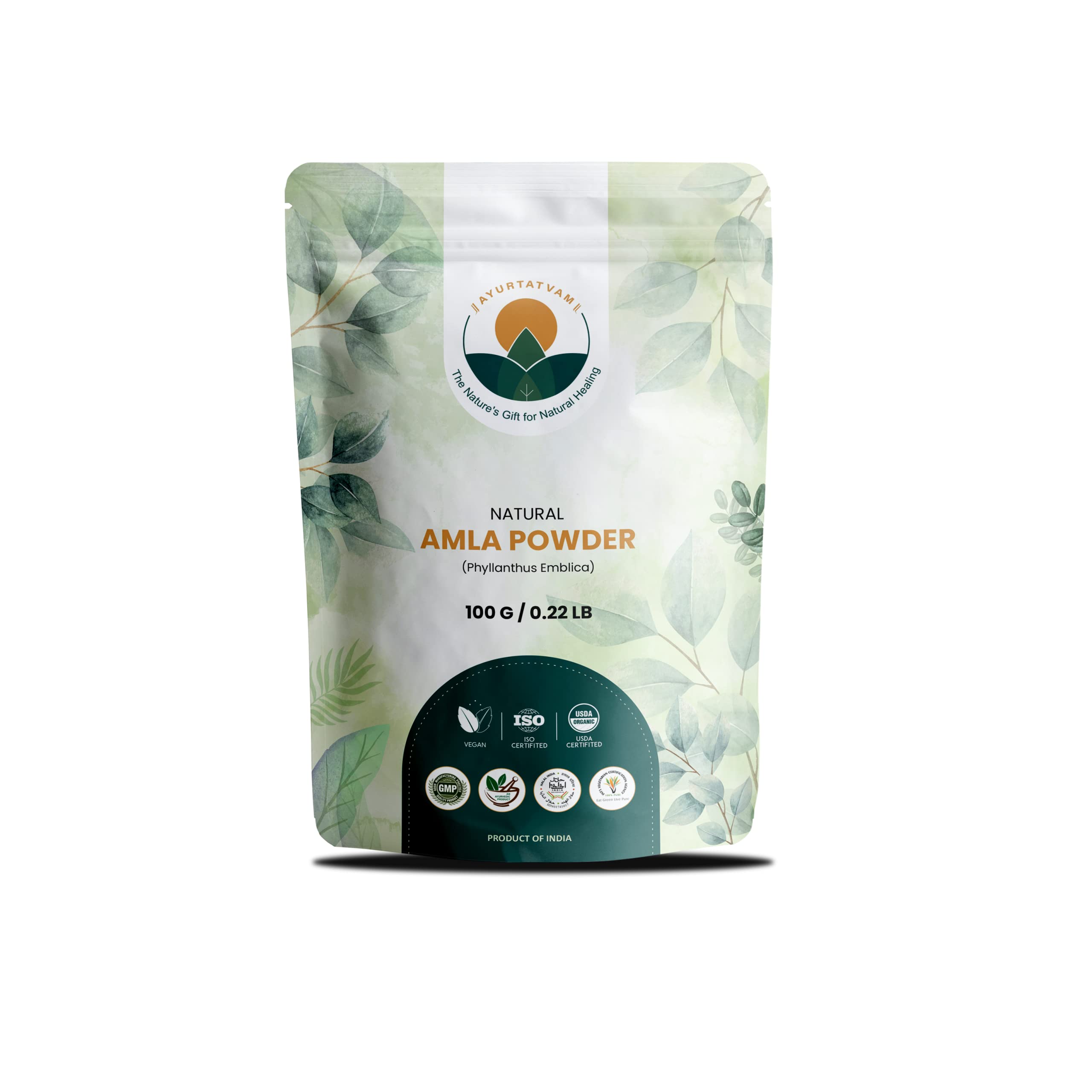 Ayurtatvam Natural Amla Powder 100g (Indian Gooseberry) - Organic Hair Growth & Skin Care Treatment | Reduces Hair Fall, Stimulates Growth & Exfoliates Dead Skin Cells | Perfect for DIY Hair Masks, Face Scrubs & Ayurvedic Beauty Routines