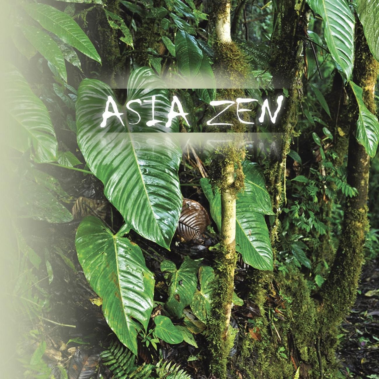Asian Zen Home Decor - Handcrafted Bamboo Wall Art for Meditation Room & Yoga Studio - Perfect for Creating a Peaceful and Serene Atmosphere