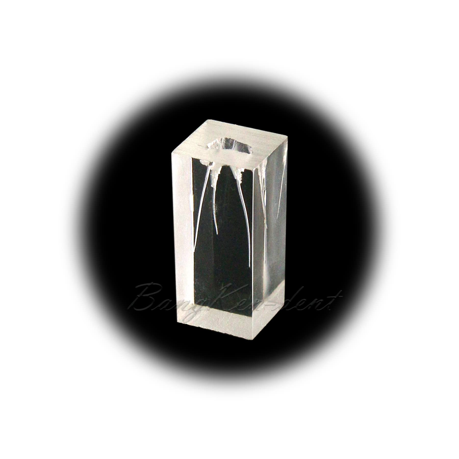 5pcs Clear Dental Typodont Models with 3 Root Canals - RCT Training Teeth Model for Endodontic Exam Simulation & Teaching Study Exercises (M8005-3) - Perfect for Dental Students, Professionals & Classroom Demonstrations
