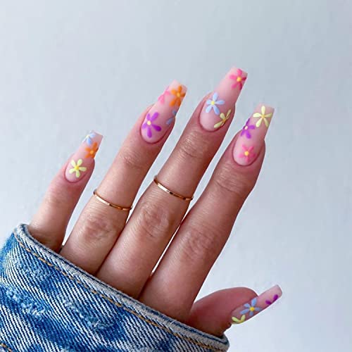 Colorful Daisy-C06