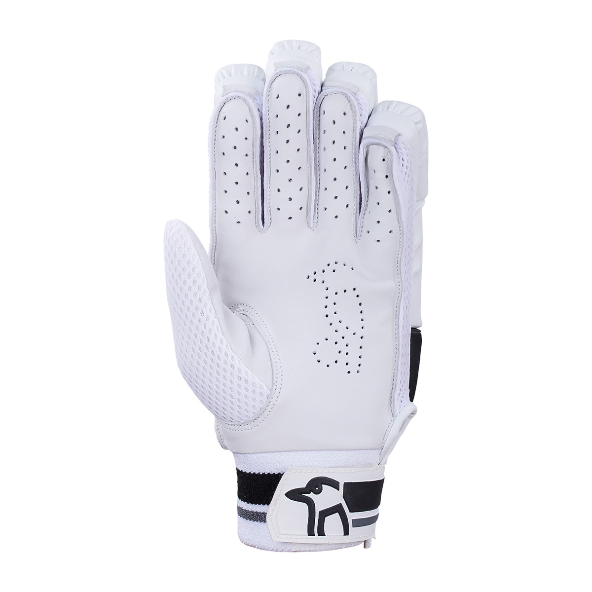 Kookaburra Stealth 3.1 Cricket Batting Gloves 2024 | Premium Leather Protection | Perfect for Practice & Matches