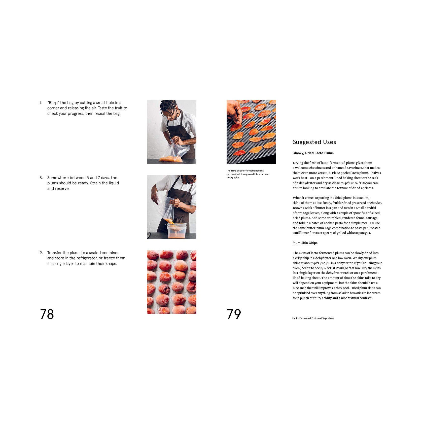 The Noma Guide to Fermentation: A Complete Guide to Fermenting Vegetables, Fruits, Grains, and More – Perfect for Home Cooks, Chefs & Fermentation Enthusiasts