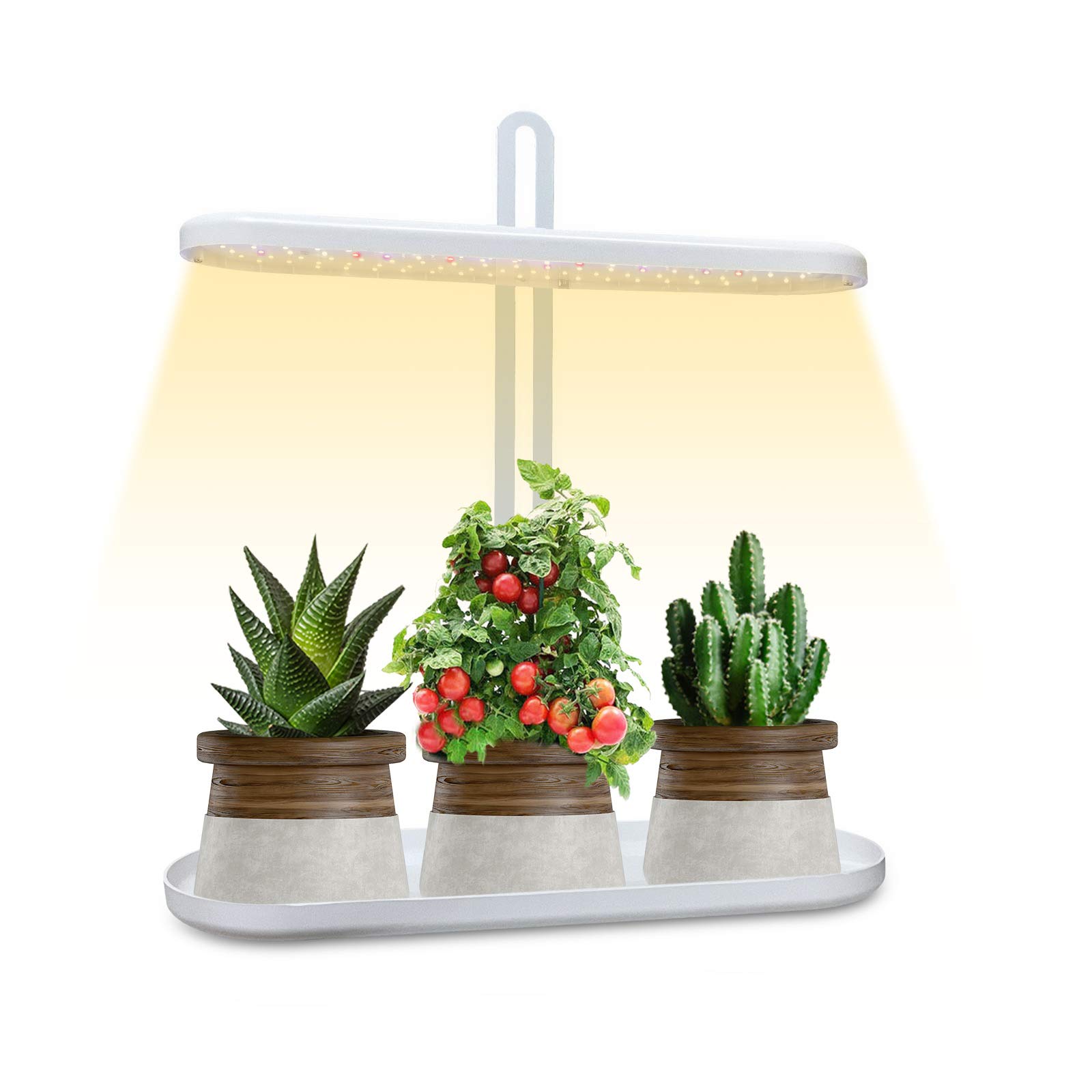 GoGrow LED Grow Light for Indoor Plants - Full Spectrum UV Plant Light with Timer, New Generation Desk Grow Lamp for Hydroponics, Seed Starting & Houseplants | Perfect for Home Gardening, Greenhouse & Office Plants