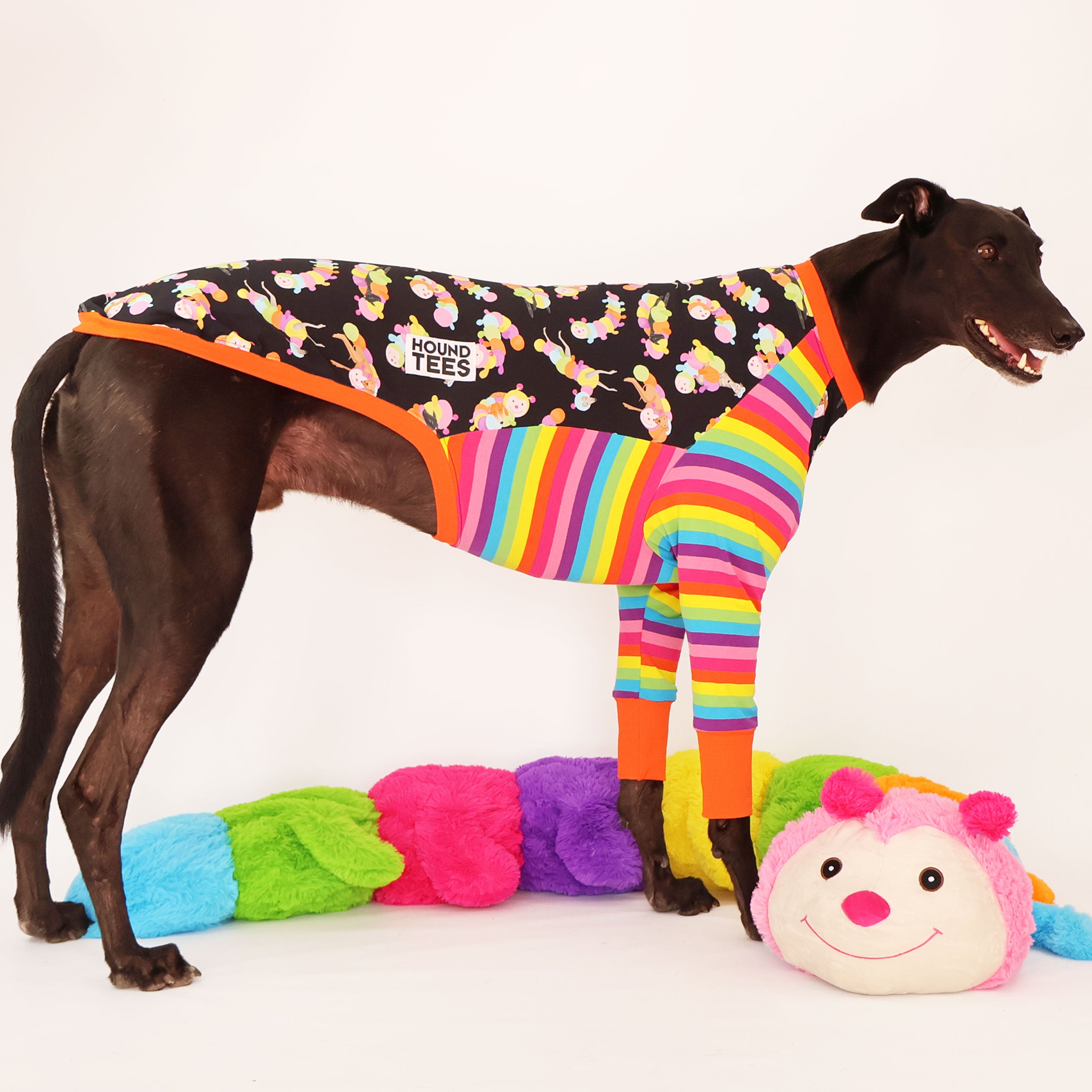 Greyhound Long Sleeve Dog T-Shirt - Soft Cuddlepillar Design for Comfort & Style - Perfect for Dog Lovers & Pet Fashion