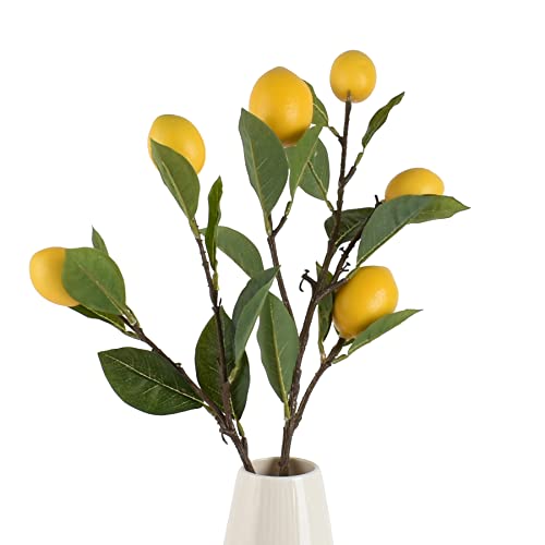Lemon Branch