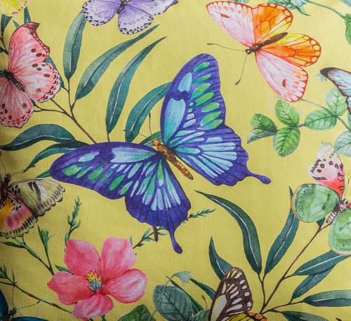 08 - Hesperides - Papillon