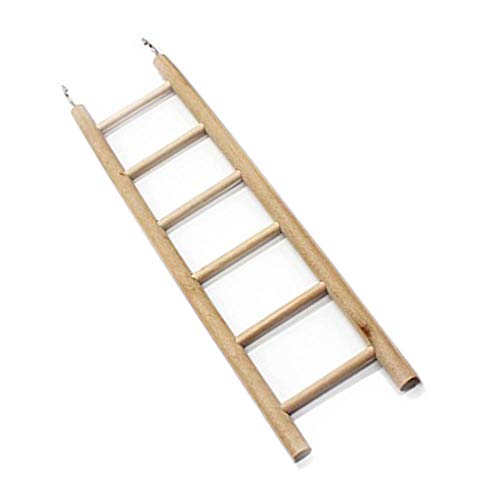 6 Ladders