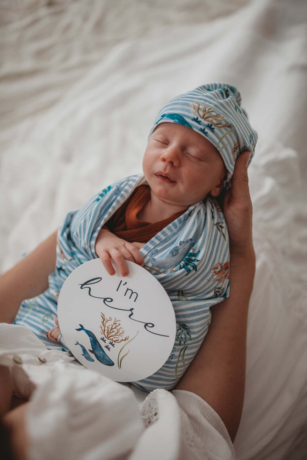 Snuggle Hunny Reversible Milestone Cards - Whale & Azure Design for Baby Photo Props, Newborn Photography, and First Year Memory Keepsakes