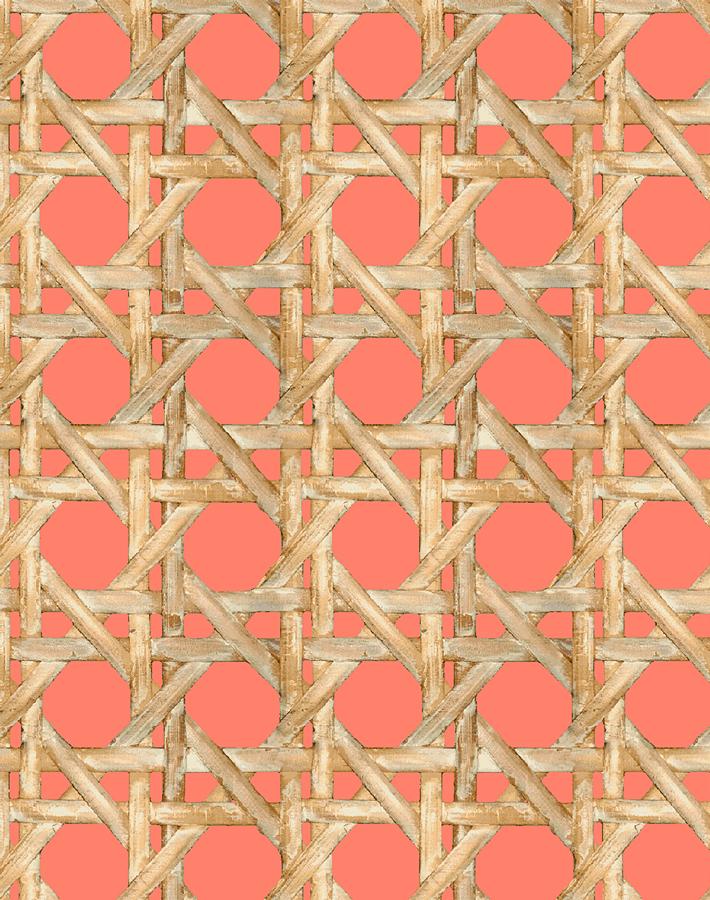 Wallshoppe Faux Caning Wallpaper - Watermelon Pattern Peel and Stick Wallpaper for Bedroom, Living Room, and Bathroom Decor