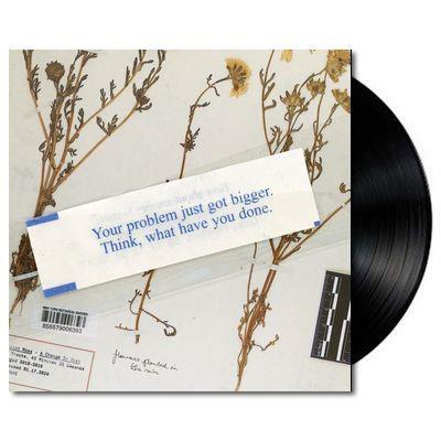 A Change In Diet (Vinyl) - Limited Edition LP Record for Music Collectors & Audiophiles - Perfect for Home Listening, Gifts & Vinyl Enthusiasts