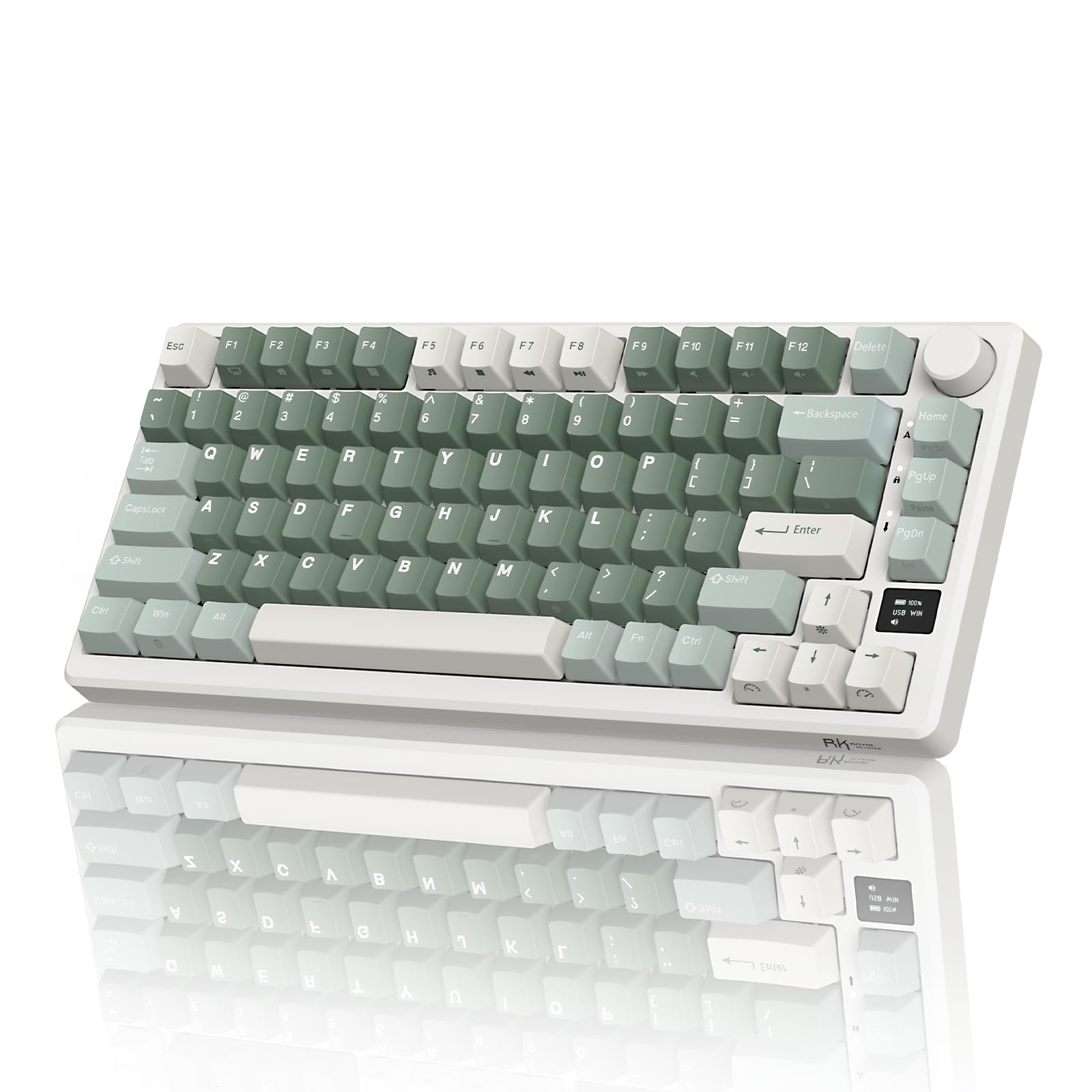RK ROYAL KLUDGE M75 Wireless Mechanical Gaming Keyboard - 2.4Ghz/BT5.1/USB-C, 75% Compact Layout (81 Keys), Gasket Mount, OLED Display & Control Knob, RGB Backlit, Hot-Swappable Pale Green Switches - Perfect for PC Gaming, Office Work, and Typing Enthusiasts