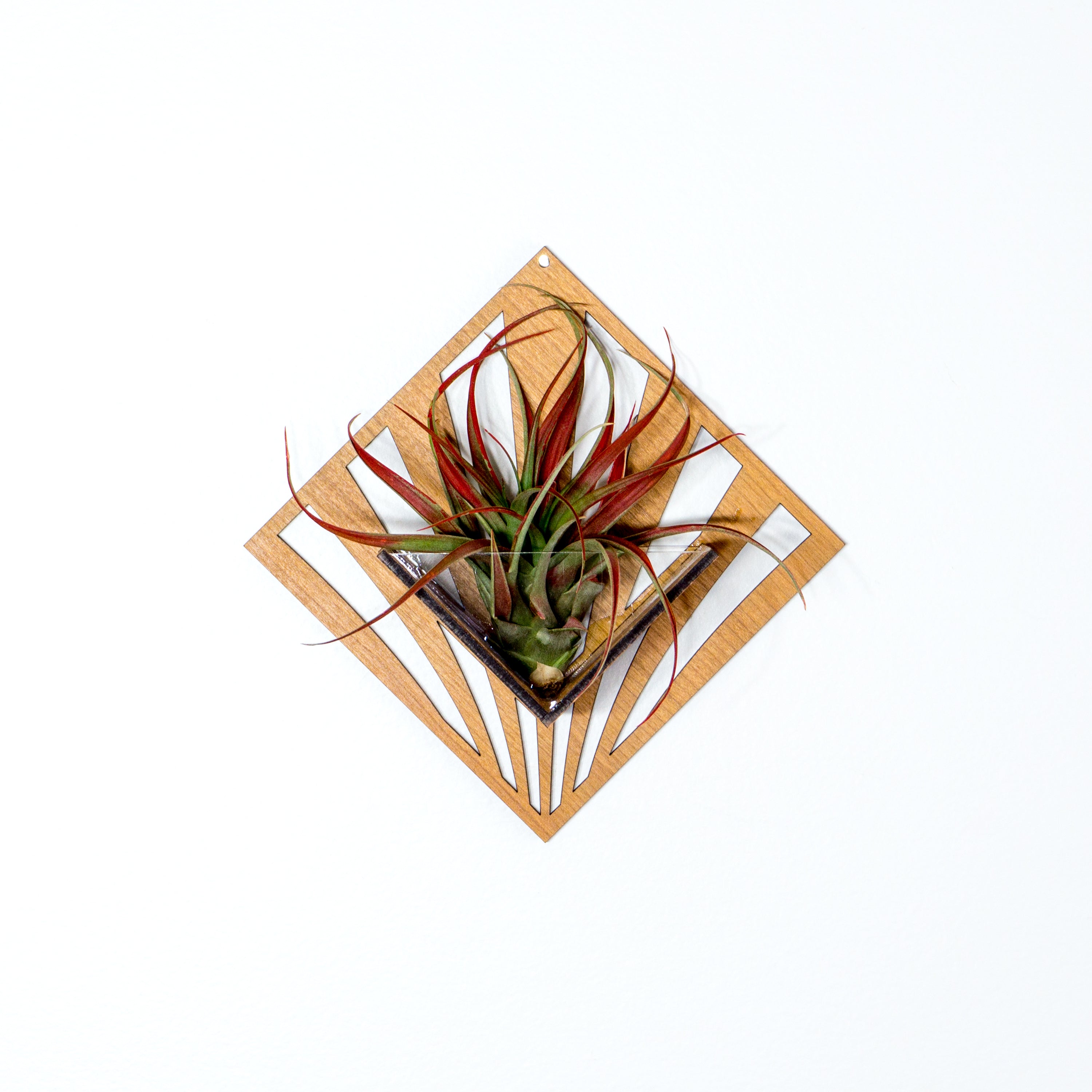 Handmade Wooden Quadrate Wall Planter Set of 2 - Air Plant Holder & Mounted Hanger Display for Tillandsia | Rustic Home Decor, Unique Plant Lover Gift Idea for Living Room, Bedroom or Office Decor