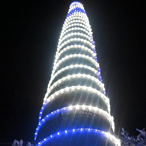 White Blue