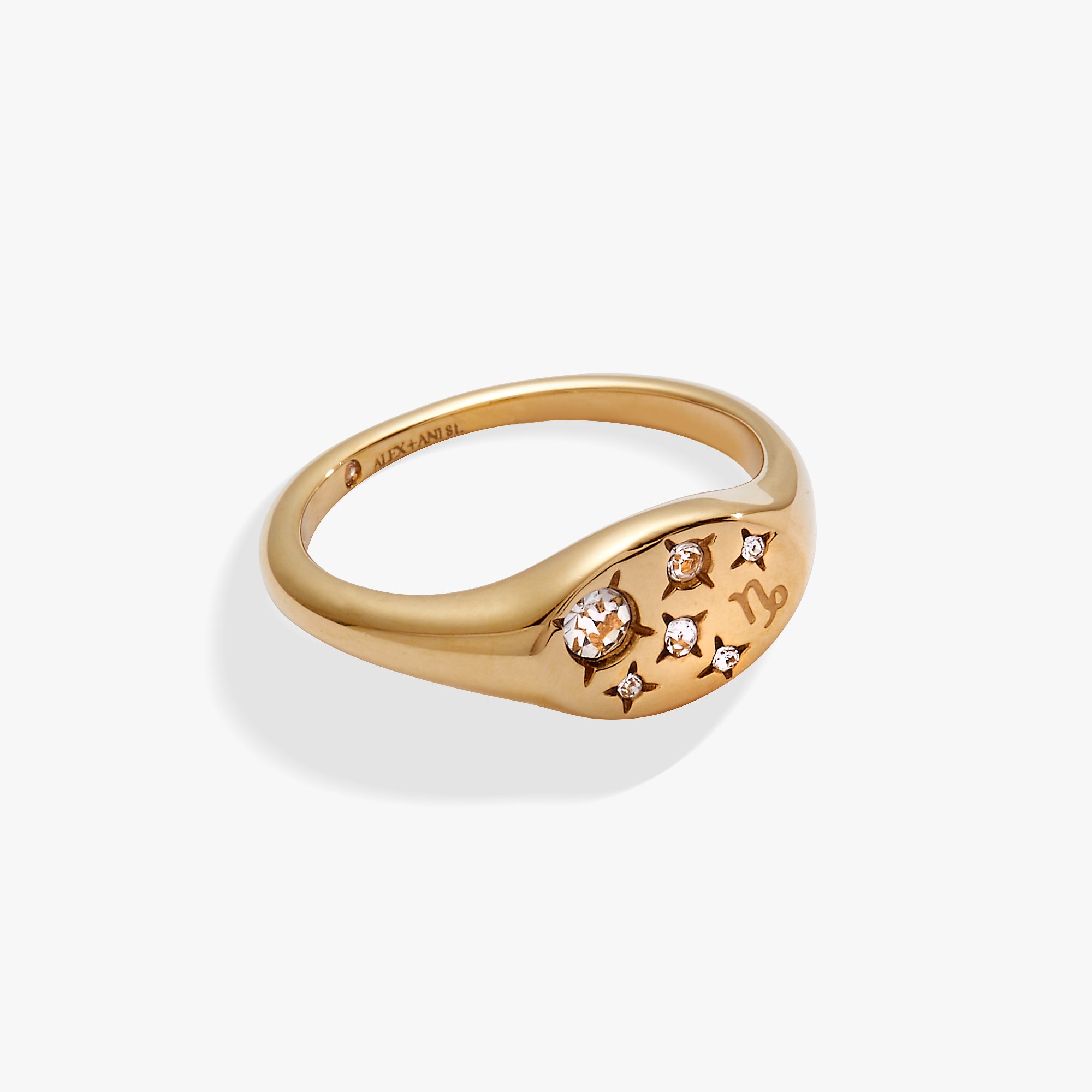 Capricorn Zodiac Ring for Women & Men - Sterling Silver or Gold Plated Horoscope Jewelry - Perfect Gift for Birthday, Anniversary & Astrology Lovers