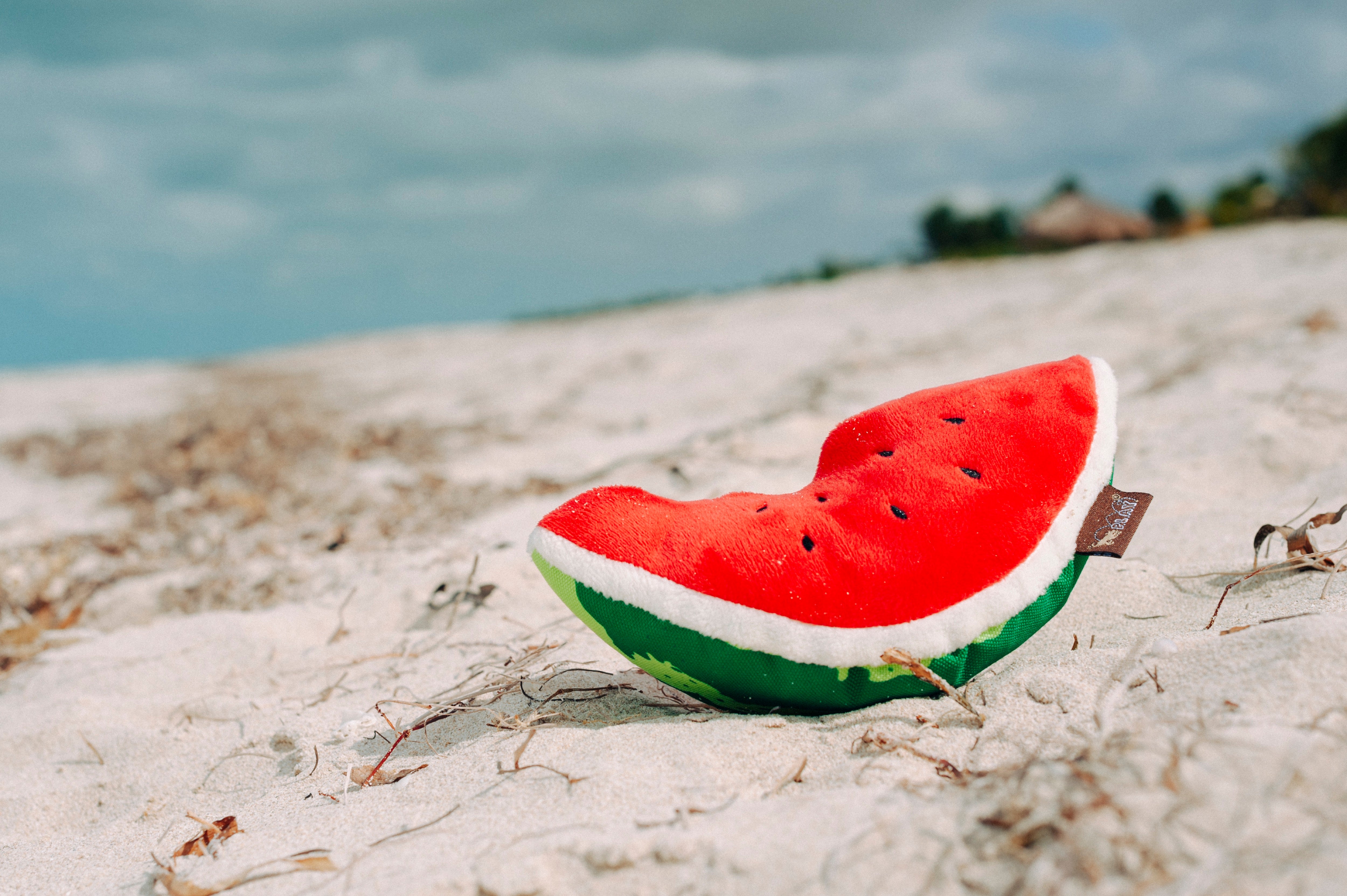 Tropical Paradise™ Watermelon Dog Plush Toy - Durable & Fun Chew Toy for Small & Large Dogs | Perfect for Playtime, Training & Cuddling | Pet P.L.A.Y.