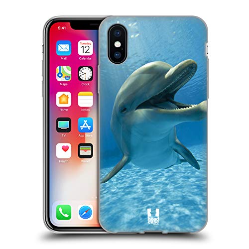 Close-Up Dolphin