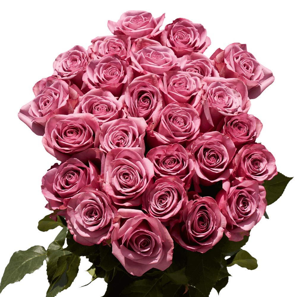 Fresh Cut Lavender Roses - 250 Stems (10 Bundles of 25) | Premium Long-Lasting Flowers for Weddings, Birthdays, Anniversaries & Home Decor | Perfect for Mother's Day Gifts, Bridal Showers & Romantic Centerpieces